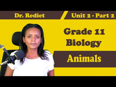 Grade 11 Biology Unit 2 Animals  Part 2 | Dr. Rediet