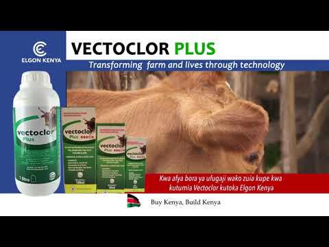 VECTOCLOR PLUS