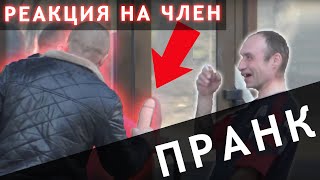 Пранк (Миха Емел ) - Реакция на Член. Пошлые приколы.