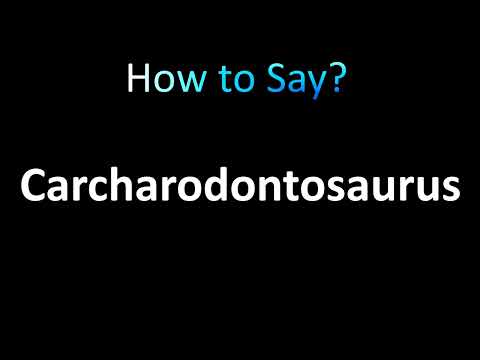 How to Pronounce Carcharodontosaurus (CORRECTLY!)