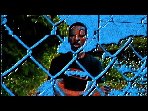 Shark Breach - Two Faced