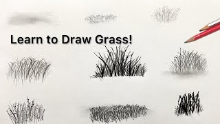 How To Draw Grass | How To Draw Grass Step By Step | How To Draw Grass Easy