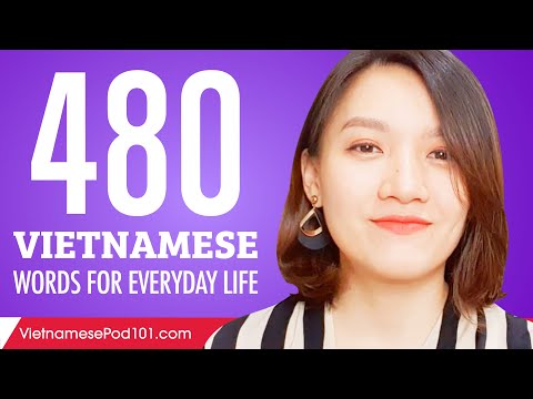 480 Vietnamese Words for Everyday Life - Basic Vocabulary #24