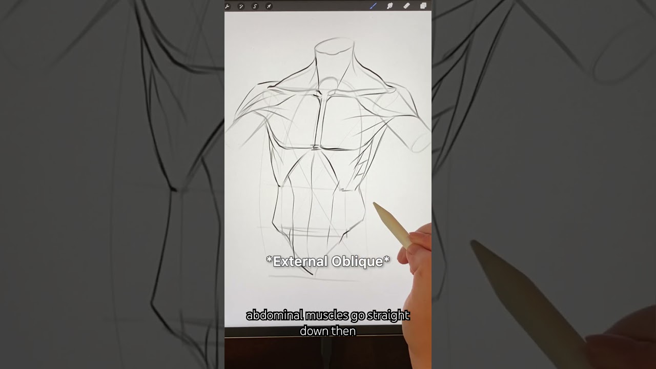 How to draw a male torso.  #arttutorial #anatomydrawing #drawanimeacademy #drawing