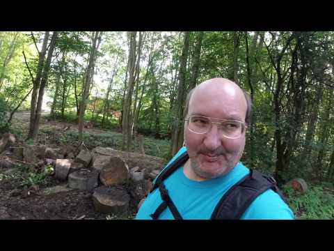 MongoTV_3531 - English Vlog_0203 - I Got My YouTube Money From August 2019