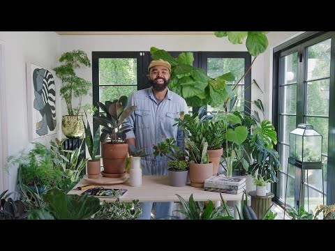 Caring for Common Houseplants - Official Trailer | Workshops | Magnolia Network