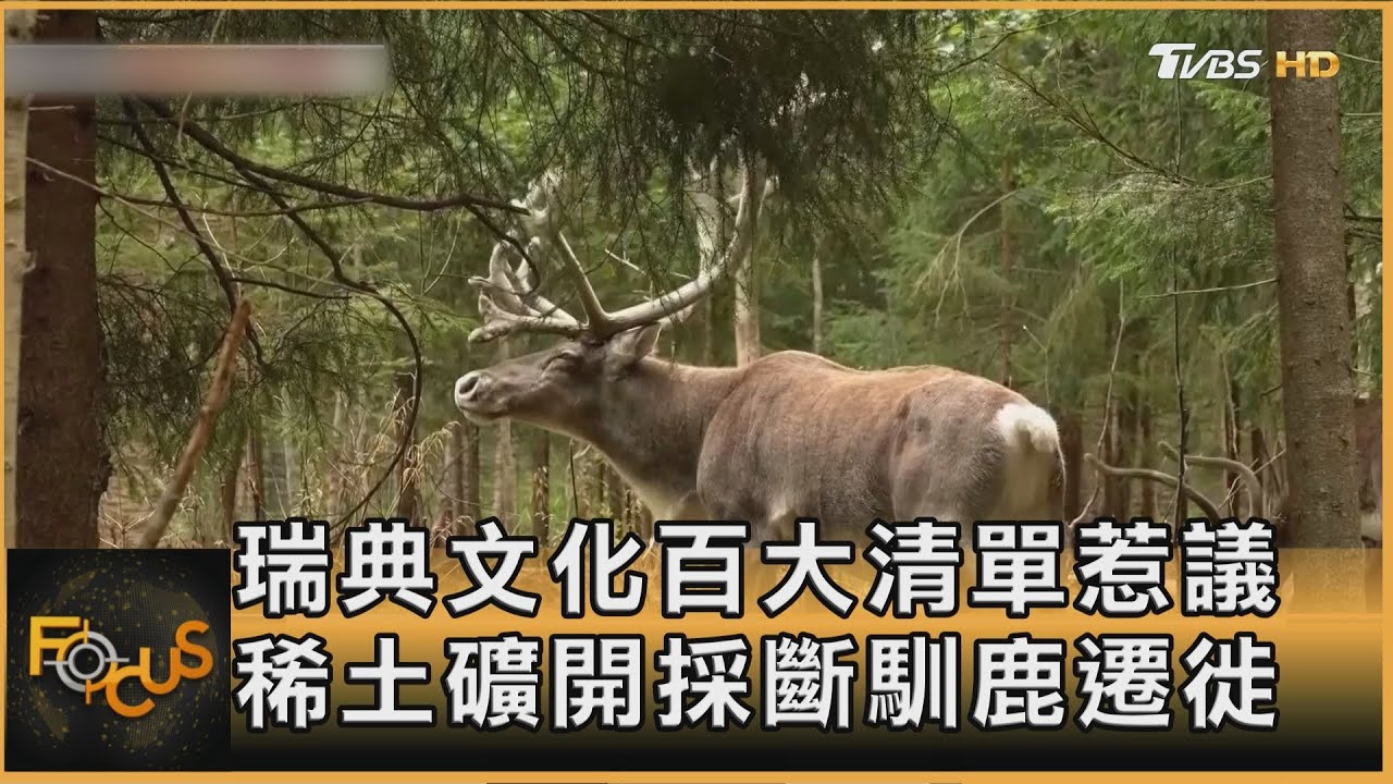 瑞典文化百大清單惹議 稀土礦開採斷馴鹿遷徙