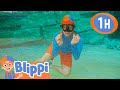 Blippi Searches For The Mother Pearl Blippi Kids Songs Moonbug Kids