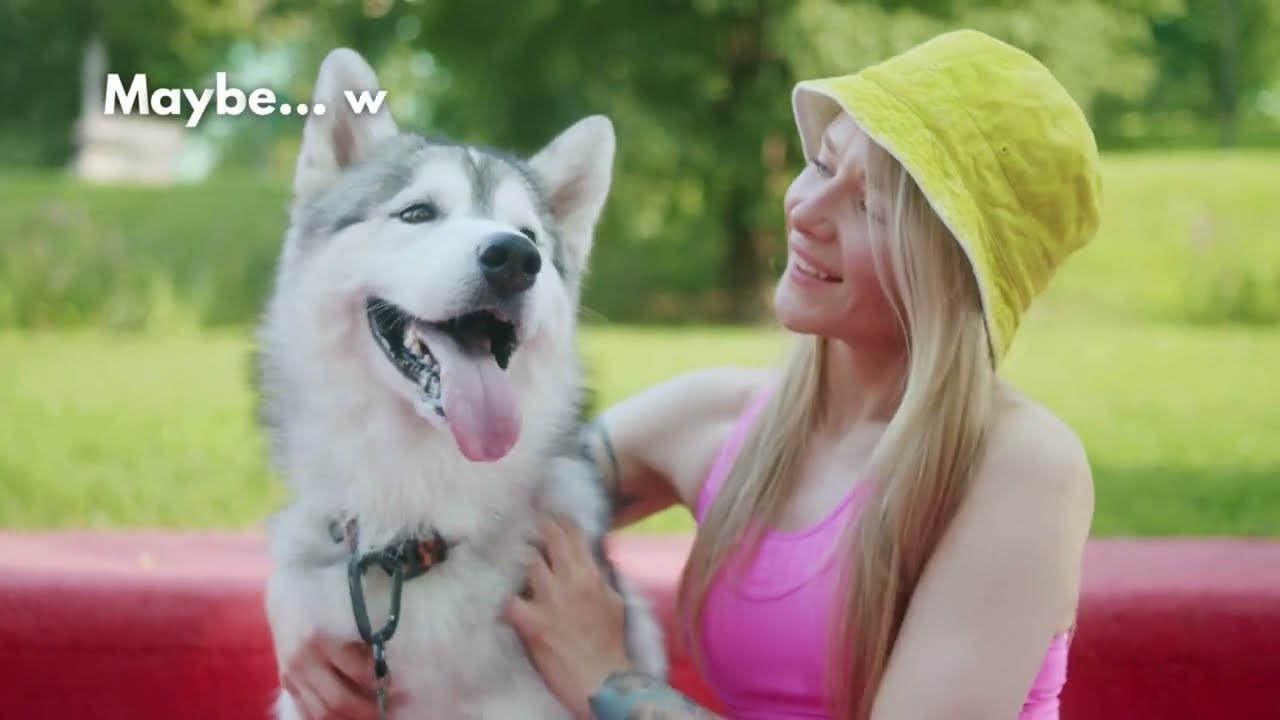 Canine Body Language Quiz