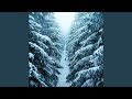 Winter Forever