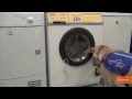 Incredible Washing Machine Lets Dogs Do Laundry
