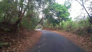 preview picture of video 'Amazing super forest root in srikakulam'