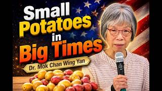 Small Potatoes in Big Times