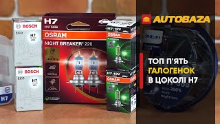 Osram H7 All Season 12V 55W (64210ALL) - відео 1