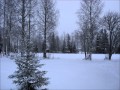 White Christmas - John Holt
