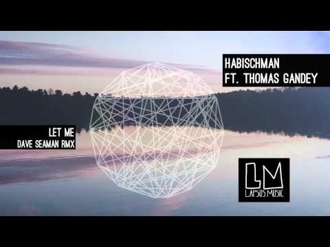 Habischman "Let Me Ft Thomas Gandey" ( Dave Seaman Remix) - Video Teaser