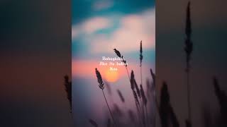 Download lagu Bukan denganmu - Good Morning Everyone (lyrics) mp3