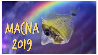 MACNA Orlando 2019
