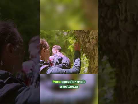 Martins, RN: Explore a Natureza Deslumbrante! #shorts