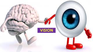 How VISION works (eye and the brain create vision) described by Psychology Professor Bruce Hinrichs