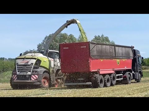 Agrarcervice Rügen.Roggen GPS häckseln Jaguar990tt,Scania-Kempf Mulden,Fendt942-Big Body900/Demler
