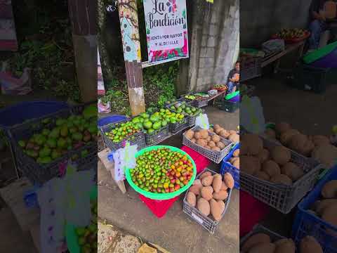 Las Ventas de Frutas en las Calles de la Ciudad de Alegria El Salvador #elsalvadorengrande