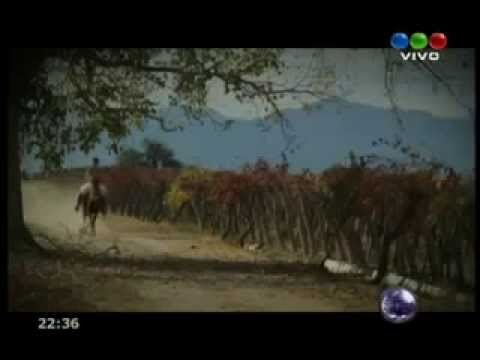 "Macho Bus": Hernán Drago |