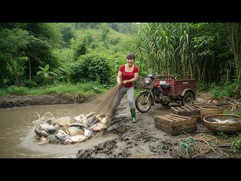 Harvesting A Lot of Big Fish by 3-Wheeled Truck – Going to the Countryside Market to Sell