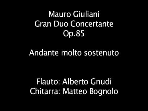 Gran Duo Concertante  M.Giuliani  Op. 85 Flauto:Alberto Gnudi Chitarra Matteo Bognolo