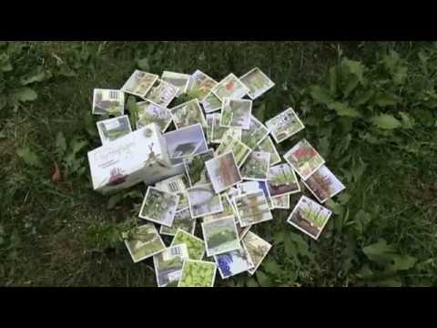 Gartenplagen-Memospiel