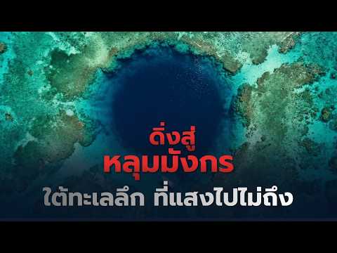 เจาะลึกหลุมมังกร ค้นพบไวรัสปริศนา 1,700 ชนิดใต้ความลึก 300 เมตร