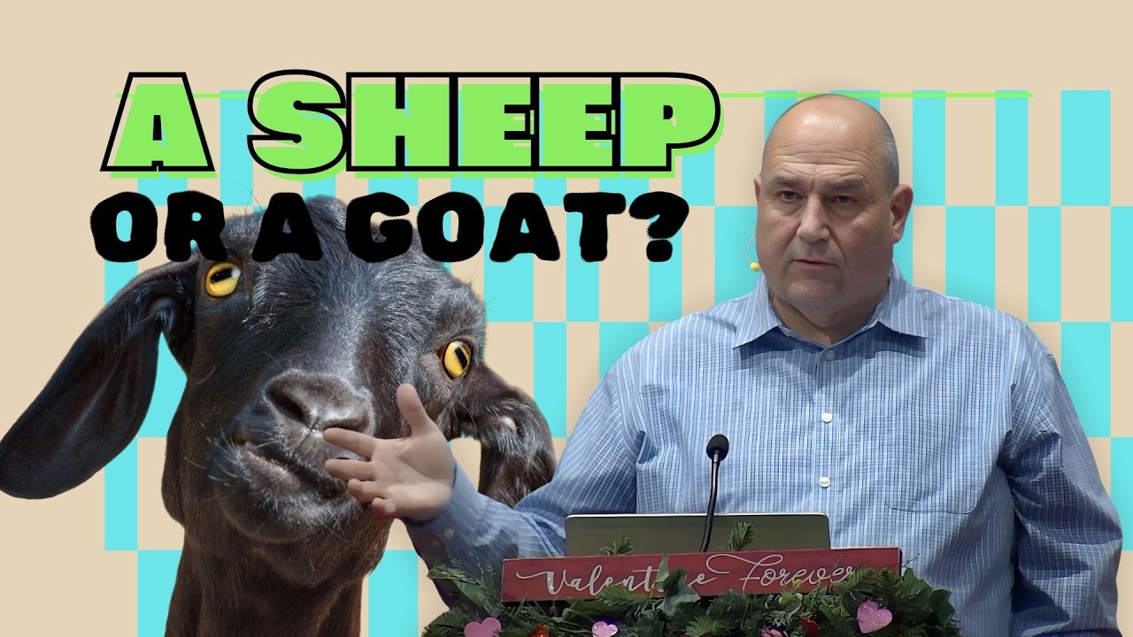 Are you a sheep or a goat?