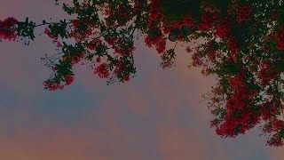 sam kim (샘김) - the weight [eng lyrics]