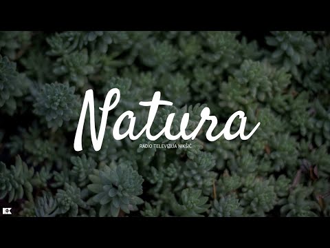 NATURA - Eko fond i Carev most 21.05.2024.