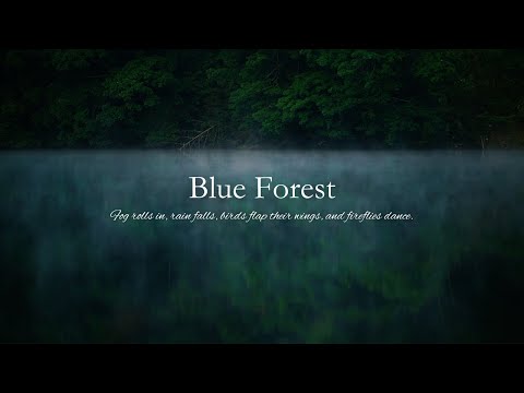 【44min】Blue Forest / Fog rolls in, rain falls, and fireflies dance. / Aoimori / haruka nakamura