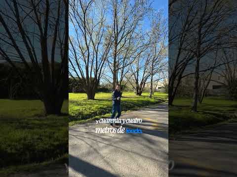 📌 VENTA - Aduana y A. Tonda | Rosario - San Eduardo