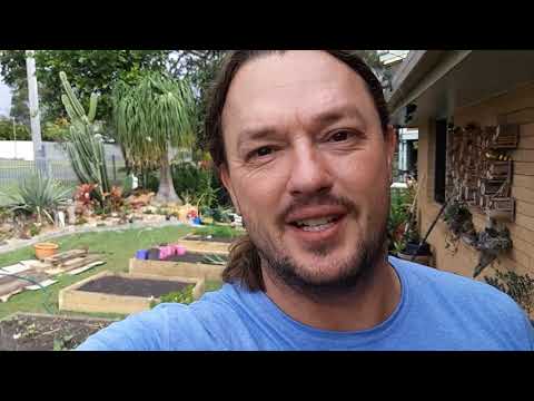 Straw bale v No Dig v Conventional gardening