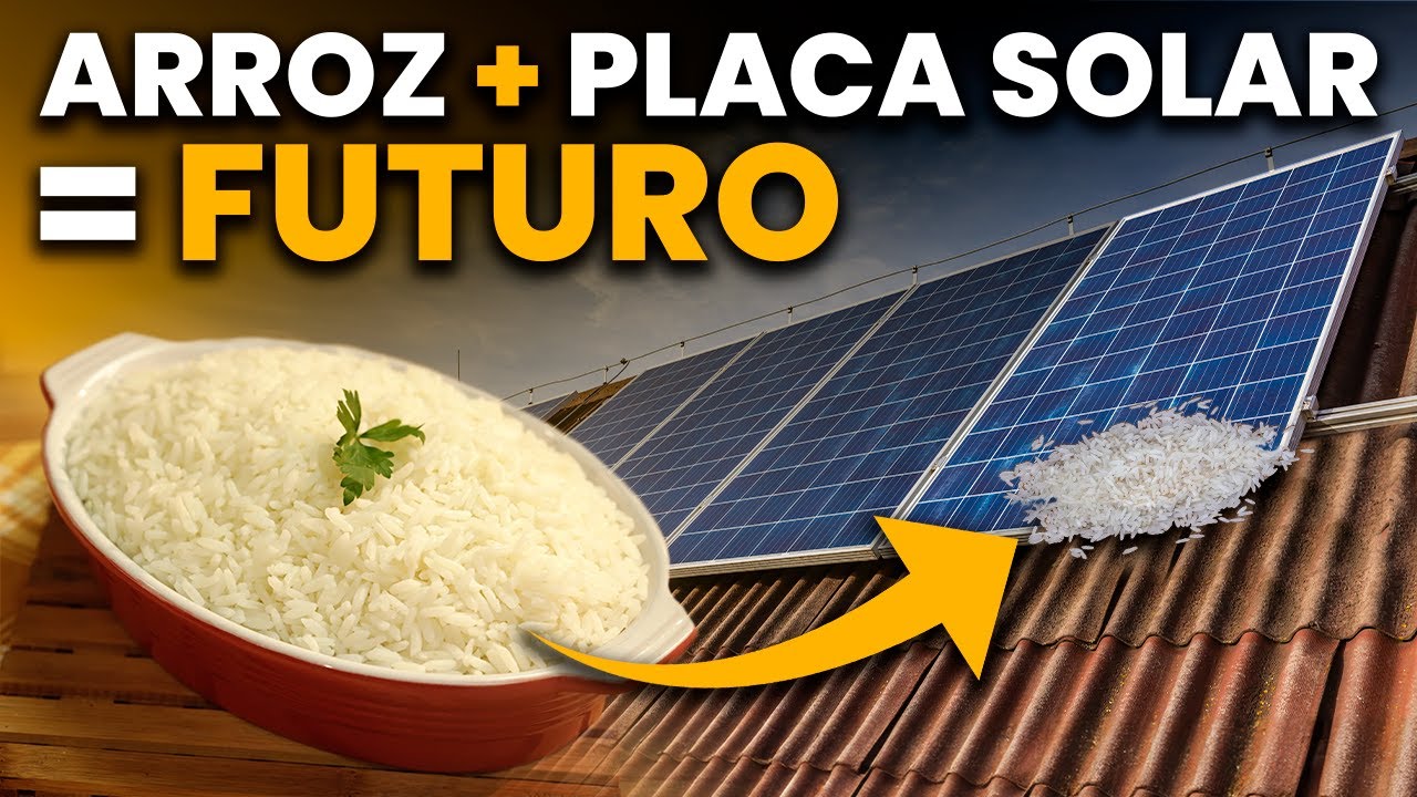 Nova PLACA SOLAR feita com SEMENTES de ARROZ vai mudar tudo
