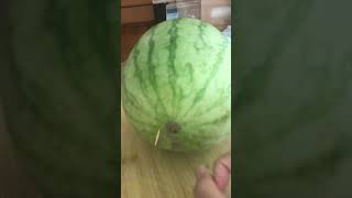 Tryna flick a watermelon open with a toothpick