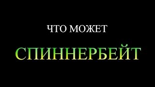 Как правильно ловить на спиннербейты