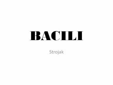 Bacili - Strojak