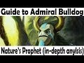 [A]dmiral Bulldog Offlane Nature Prophet In-Depth ...