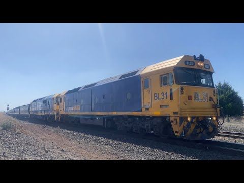 Up Pacific National 7736V Grain with BL31 and 8136 departing Gheringhap loop 17/1/2025