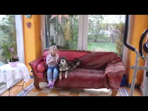 Heidi - Februar 2016 - Tierhilfe Korfu e.V.