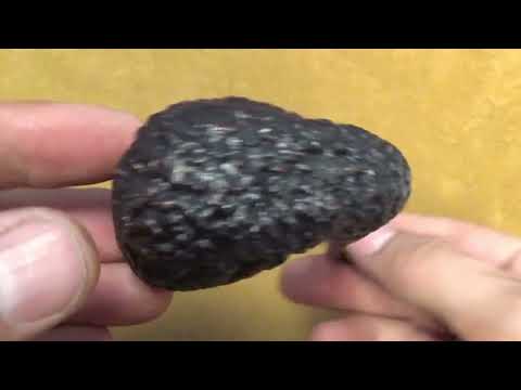 Pipa Castello Sea Rock KKKK  - Hungarian #97 - CASR172