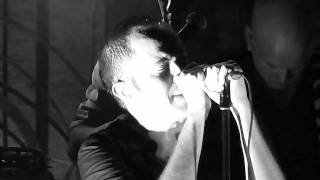 ~~Don Johnson Big Band~~Rush (feat. Tuomo)~~