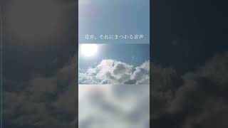 少年に戻りたくて #花弁それにまつわる音声 #あばらや #歌ってみた
