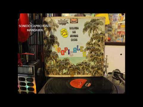 Eva María los univox