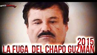 El komander) la fuga del chapo