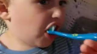 Toddler Toothbrushing